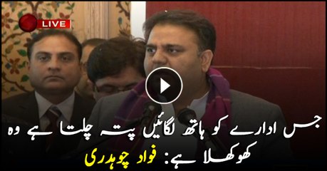 Will lay the foundation of a better economy in the next 6 months, says  Fawad Chaudhry