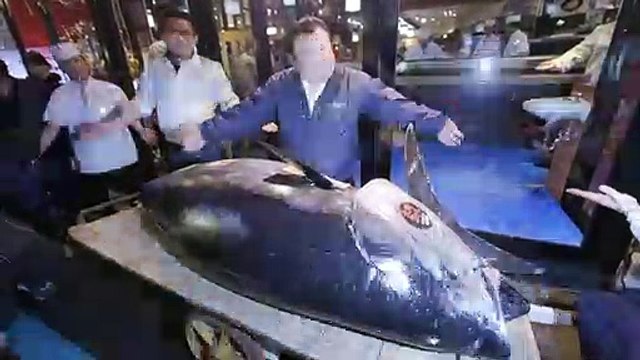 Japon: un thon vendu 2,7 millions d'euros aux enchères