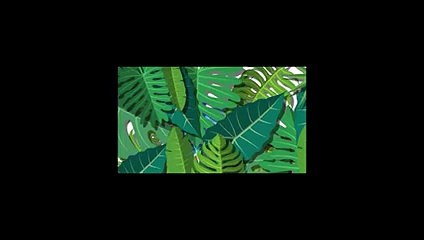 (진도출장마사지) ##W300%후불-Ø1Ø↔5628↔Ø391【카톡TOP1177ひ】진도출장안마진도출장안마후기 진도출장안마'만족τ진도출장안마'만족도1위 20대여대생의 최상위 서비스