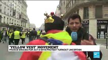 Yellow Vest movement Act 8 - peaceful protest