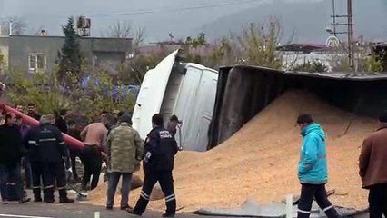Devrilen tırdaki mısırlar yola saçıldı - HATAY