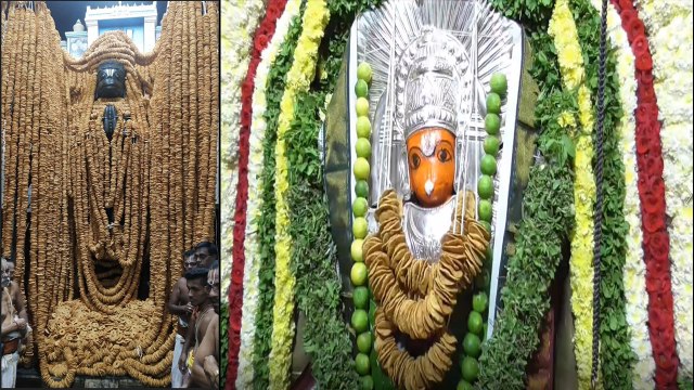 அனுமன் ஜெயந்தி விழா கோலாகலம் | Hanuman Jayanti Festival Celebrating in temples