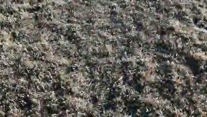 Office Space - Printer scene remake for my new YouTube video