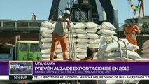 Uruguay prevé alza en exportaciones agroindustriales para este 2019