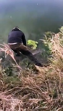 Haut-Doubs : relâche d'un brochet d'1,27 mètre dans le Doubs, à Morteau