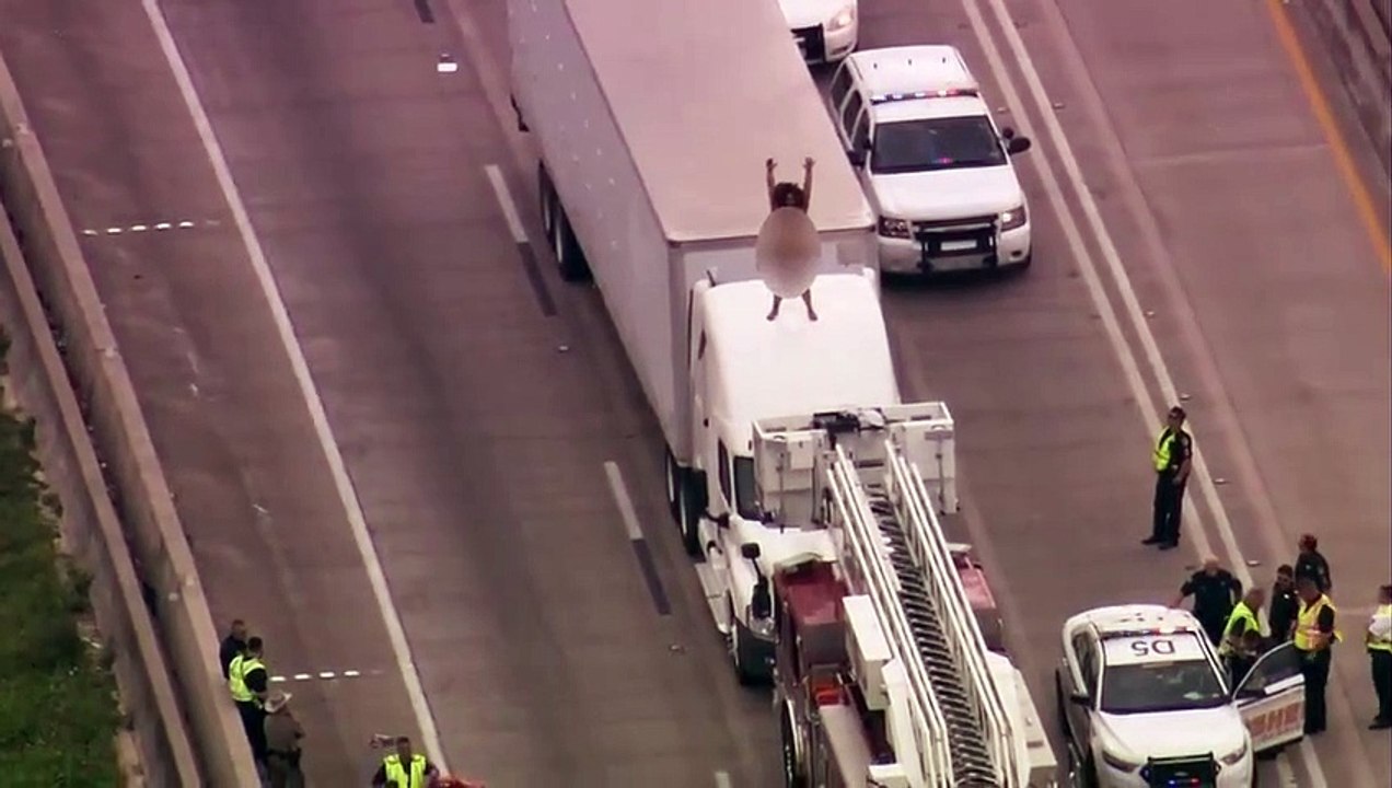 Regardez ce qui a provoqué 2h de bouchons aux USA...