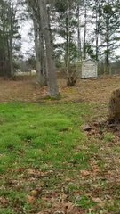 Tree Cutting Fail, Truck Pays Price