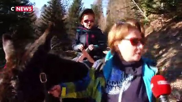 Des vacances de Noël sans neige pour les Pyrénées