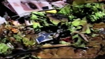 Why Planes Crash S02E08 - Fatal Flaws