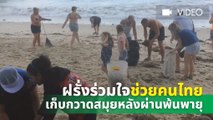 ฝรั่ง-ไทยร่วมเก็บขยะชายหาดสมุย หลังปาบึกผ่านพ้น