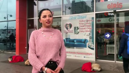 Hem yürekleri hem de köpekleri ısıtan hareket