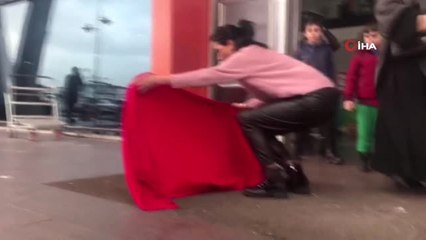 Hem Yürekleri Hem de Köpekleri Isıtan Hareket