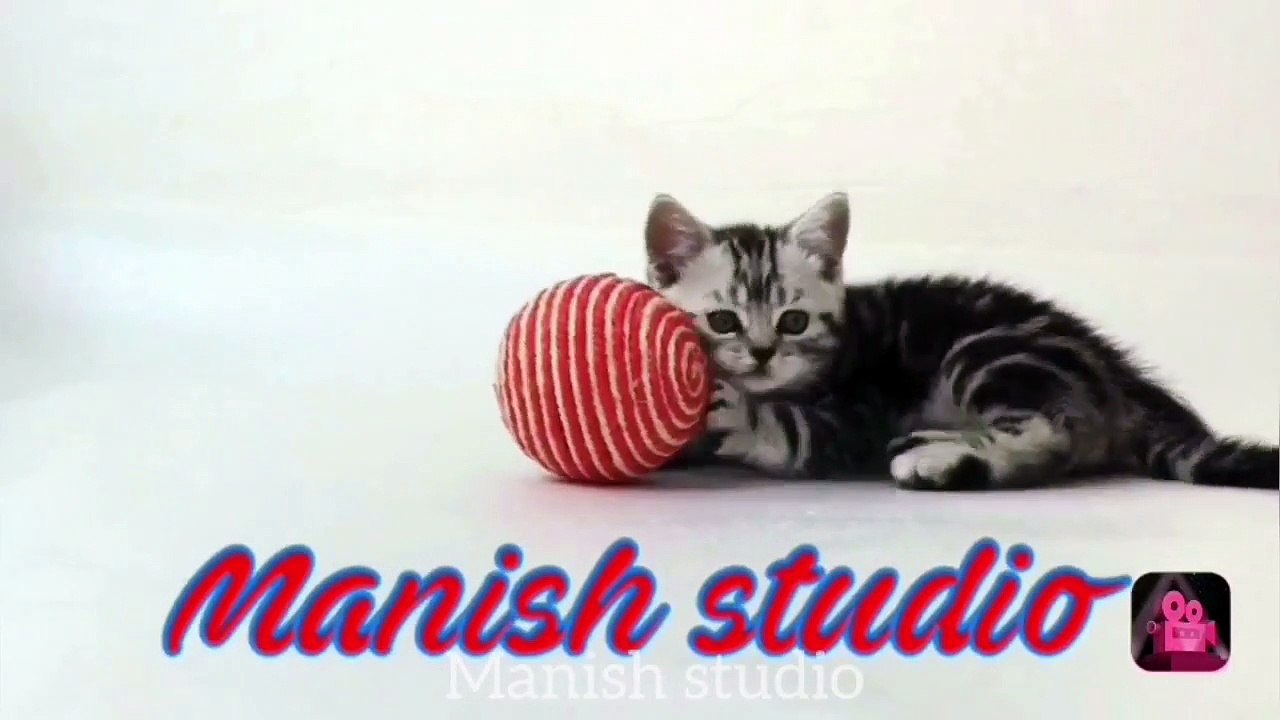 Balloon Vs Flower pots  Experiment