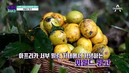 탄탄한 몸매의 주인공, 비만에서 탈출한 그녀의 추천 음식 '000 망고'!!