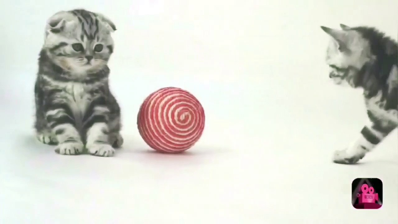 Nails Vs Balloon  Slow Motion  Experiments  Manish Studio