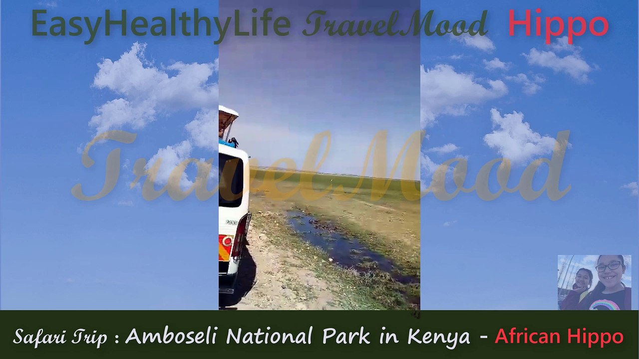 TravelMood Kenya Hippo