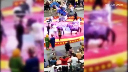 Скачать видео: Verschrecktes Kamel läuft in Zirkus Amok