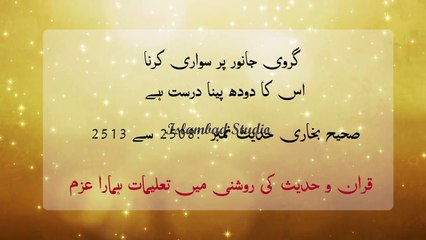 Islamic Whatsapp Status - Sahih Bukhari Hadith 2508 to 2513 - girvi janwar ka doodh peena , sahih Bukhari sy bayan