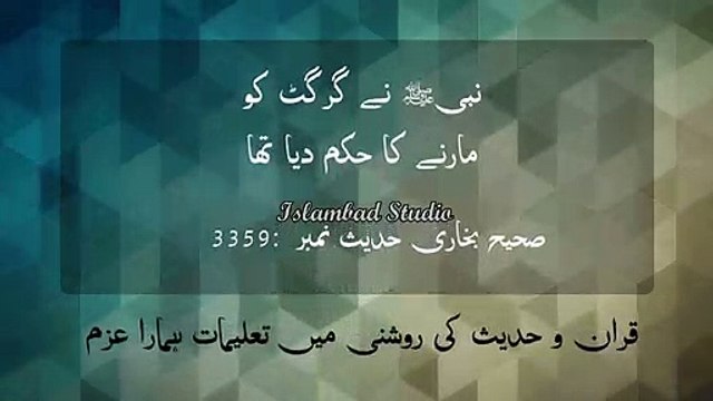 Islamic Whatsapp Status - Sahih Bukhari Hadith 3359 - girgit ko marne ka bayan , sahih Bukhari sy bayan