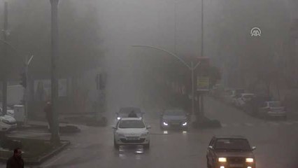 Sis Hayatı Olumsuz Etkiledi