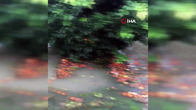 Adana'da narenciye bahçeleri sular altında kaldı