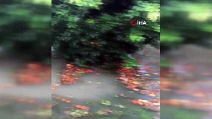 Adana'da narenciye bahçeleri sular altında kaldı