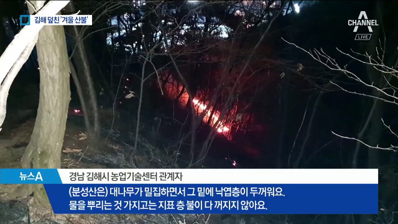 2배 빨리 번지는 겨울 산불…건조특보 속 화재 잇따라
