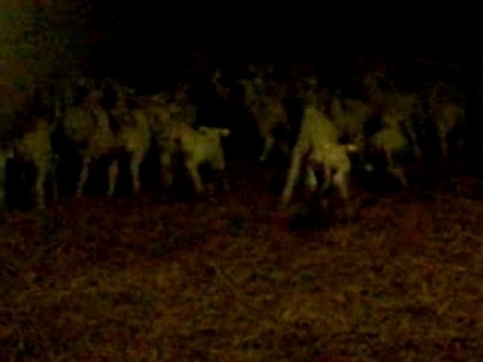 DSCN0320