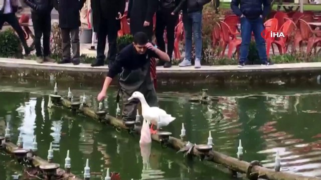 Boynuna poşet dolanan kazı itfaiye kurtardı