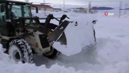 Ardahan'da kar ve tipi ulaşımı aksatıyor