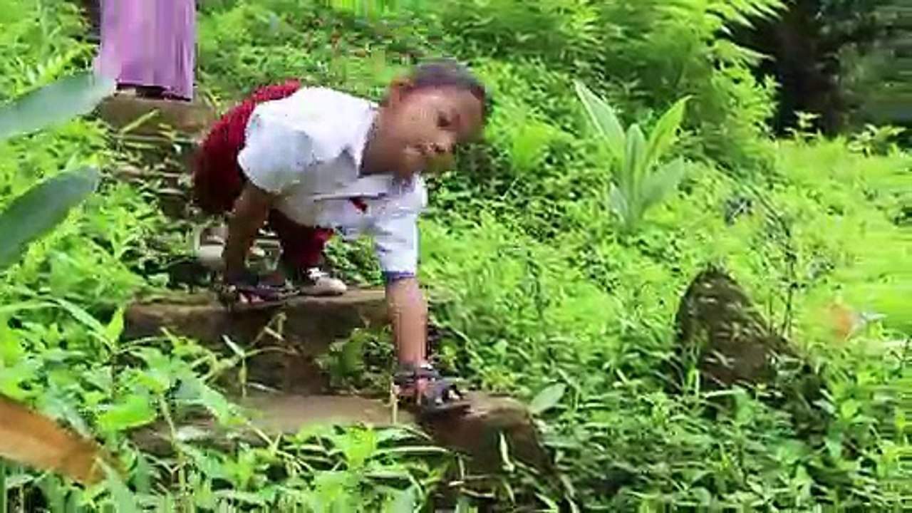 Auf allen Vieren zur Schule