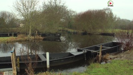 Saint-André-des-Eaux    |   La Briere en Hiver - Télé La Baule