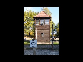 Je suis un coquelicot blanc