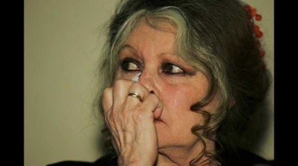 Municipales 2020 : Brigitte Bardot prête à se lancer ?