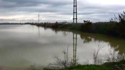 Ceyhan Nehri'nin Taşması Sonucu Tarım Alanları ve Evleri Su Bastı (2)