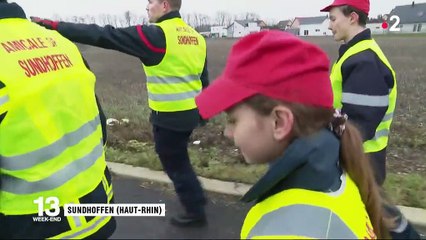 Sapins de Noël : la tradition d’un village du Haut-Rhin