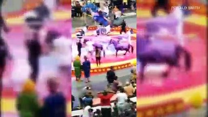 Скачать видео: Verschrecktes Kamel läuft in Zirkus Amok