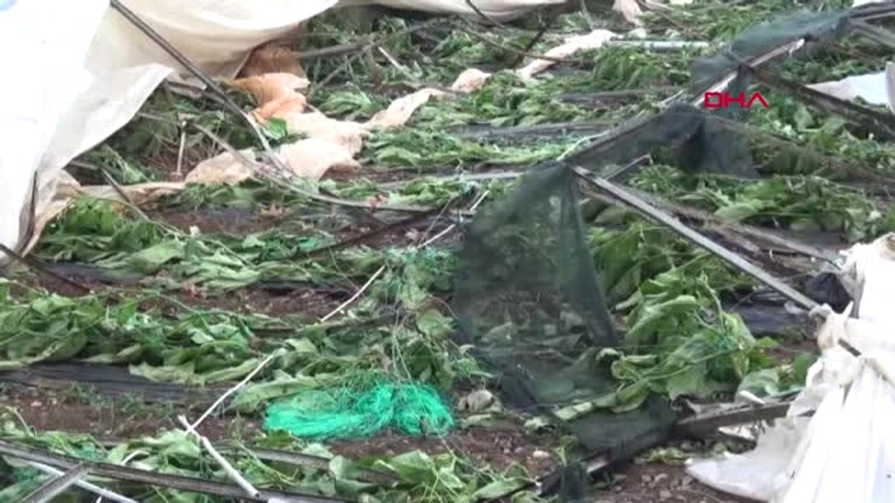 Antalya Gazipaşa'da Hortum Seraları Vurdu