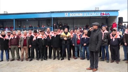 Muğla Develer Bodrum'da Güreşti - 2