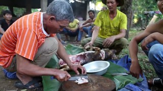Xem người dân M'nông bản địa Đăk Lăk ăn heo nóng NTN ( See M'nong people indigenous Dak Lak eat hot pork like NTN )