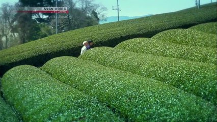 [sub] Journeys in Japan; Following a Samurai Tea Master