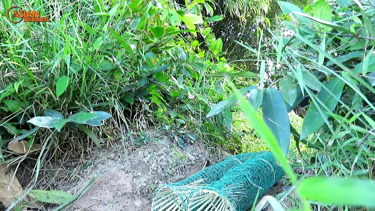Amazing! Easy Snake Trap Using Metal Net & Fish - How To Find And Catch Big Snake By Snake Trap