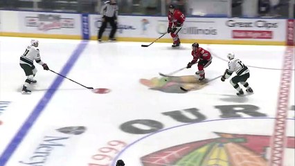 Iowa Wild (2) vs. Rockford Icehogs (6)