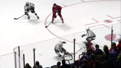 Iowa Wild (2) vs. Rockford Icehogs (6)