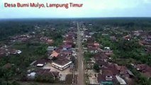 Rapinya Desa Sentra Buah Naga Di Lampung Timur