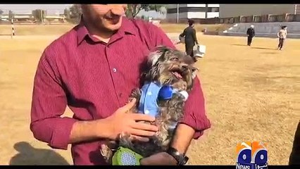 geo adil peshawar dog show aslive