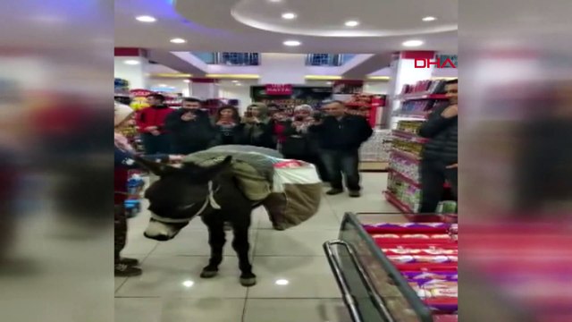 Poşet parası vermemek için markete eşekle geldi