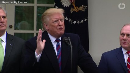 Trump Offers Steel As Compromise On Border Wall