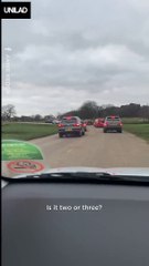 Please enjoy his video of me and my family thinking we are going to be killed by camels