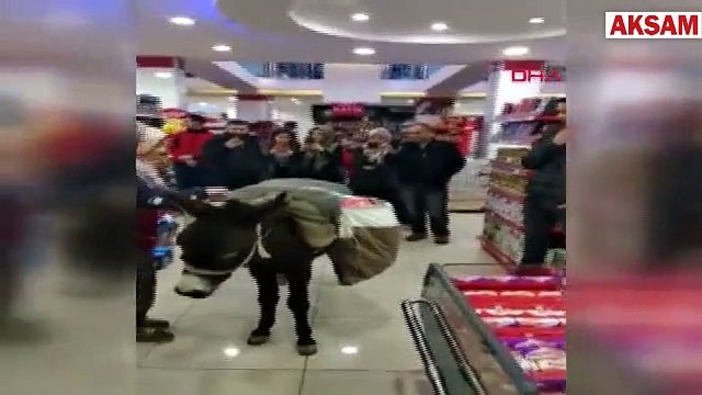 Poşet parası verememek için markete eşekle geldi